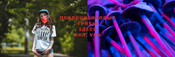 бутират Алзамай